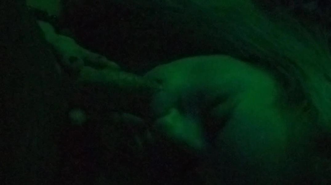Slow Sensual Blow Job Teaser